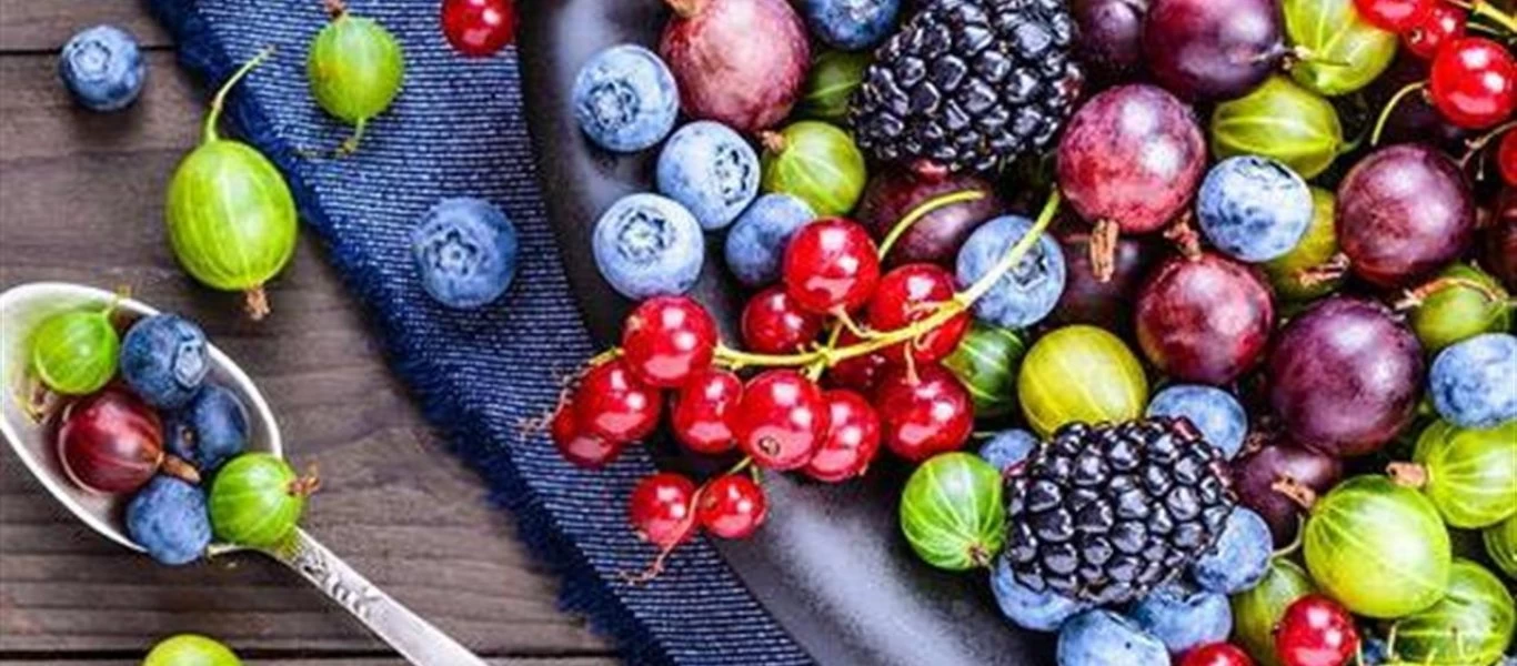 Άνοια: Αυτή είναι η ευεργετική δράση των βιταμινών & των αντιοξειδωτικών